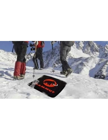 Mata wejściowa PRINT-CLEAN