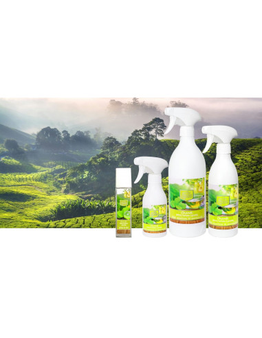 KALA olejki zapachowe Zielona herbata z gruszką 100ml