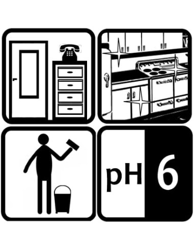 ECO SHINE MULTI MAX ALCO - 1L -...