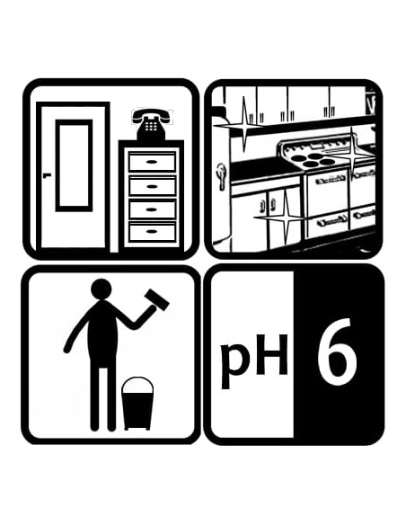 ECO SHINE MULTI MAX ALCO - 1L -...